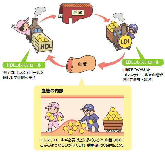 大阪市旭区 城東区 鶴見区の訪問マッサージ 脂質異常症 Keirow ケイロウ 大阪城東ステーション